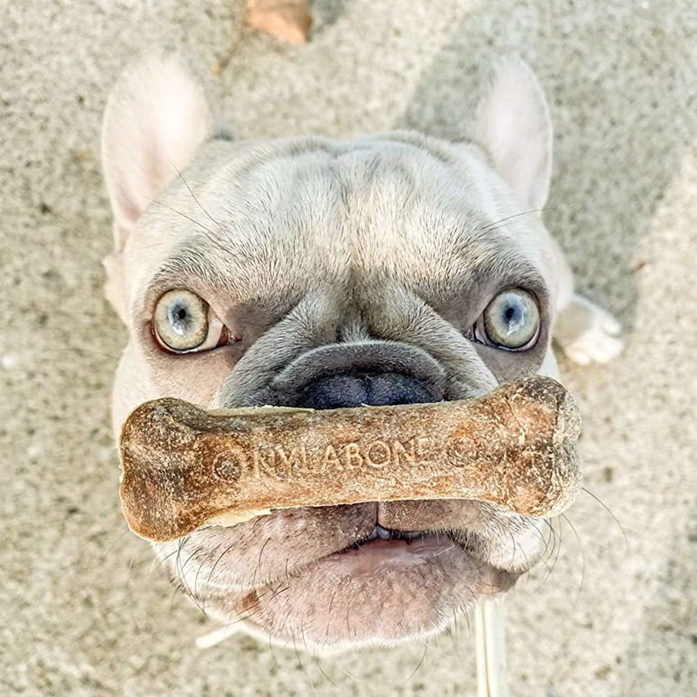 Nylabone Healthy Edibles roast beef chews 2-count ready for training.
