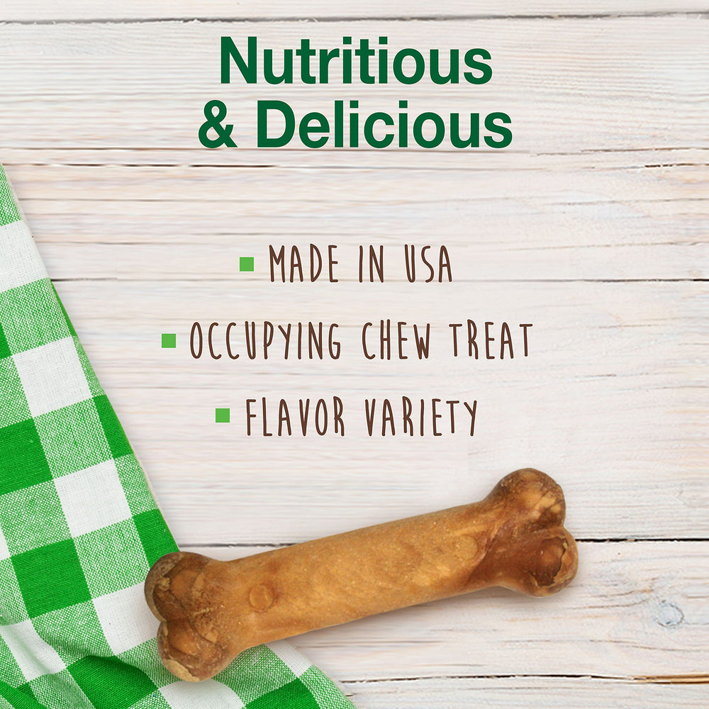 Nylabone Healthy Edibles roast beef flavor treat close-up for lasting chew satisfaction
