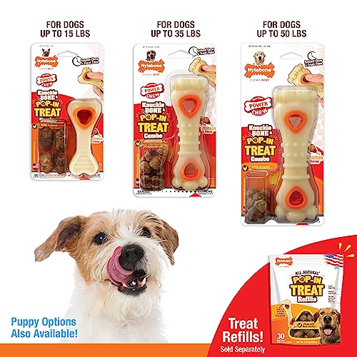 Nylabone Knuckle Bone Pop-In Treat Toy durable chew for strong chewers