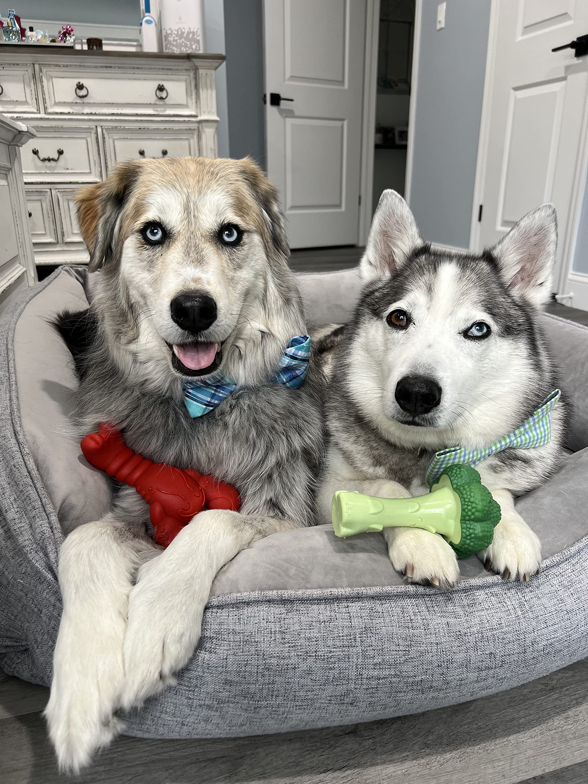 Nylabone Lobster Power Chew Toy three ends closeup showing multiple chewing surfaces