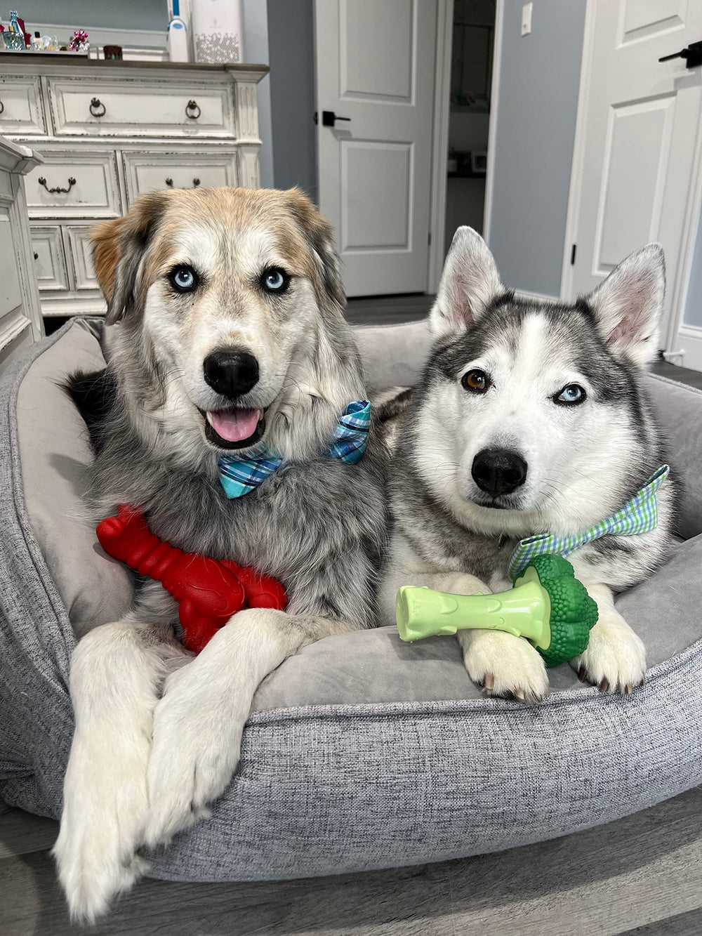 Nylabone Lobster Power Chew Toy three ends closeup showing multiple chewing surfaces