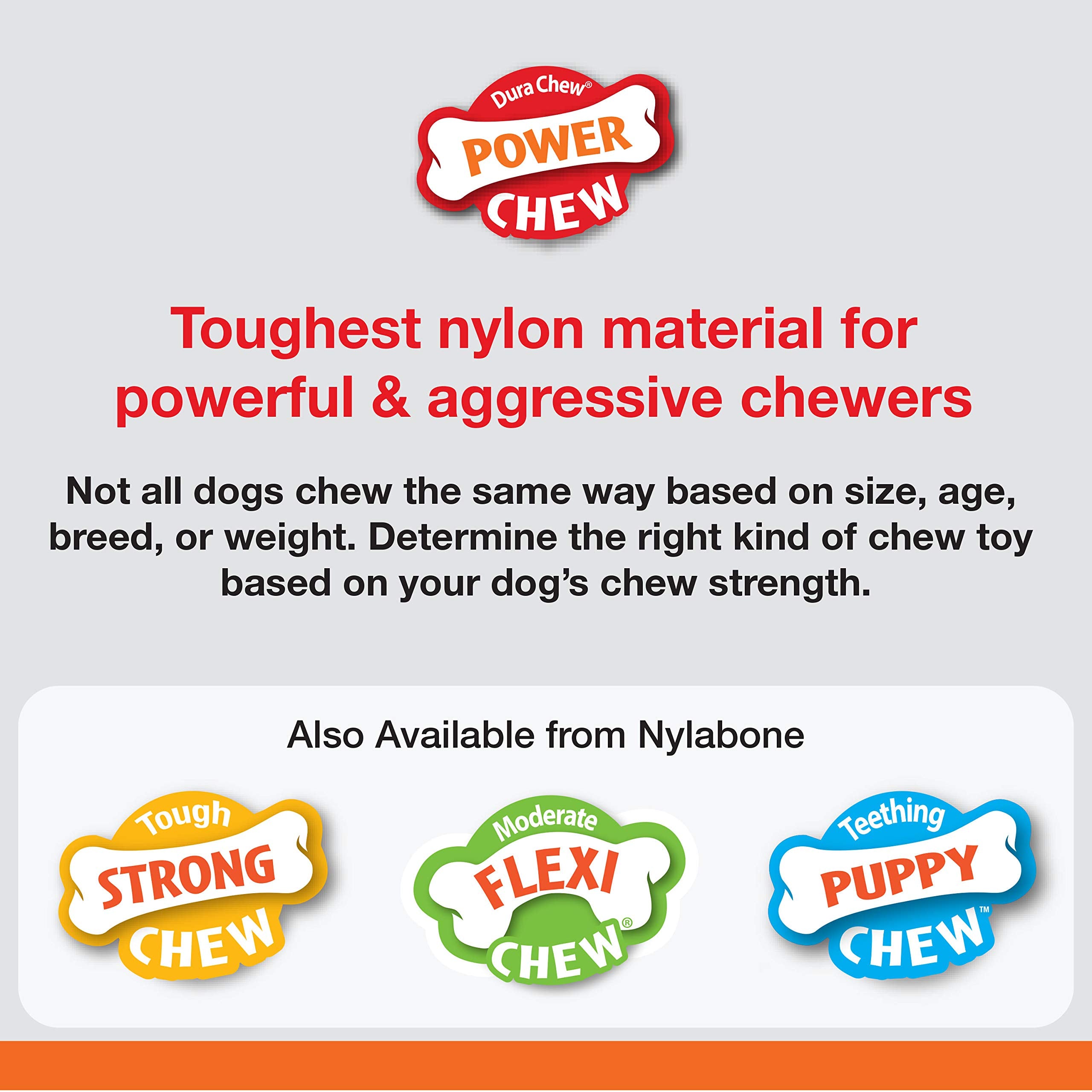 Nylabone Marrow Bone Alternative dog chewing action captures resilient durability