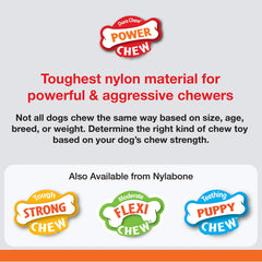 Nylabone Marrow Bone Alternative dog chewing action captures resilient durability