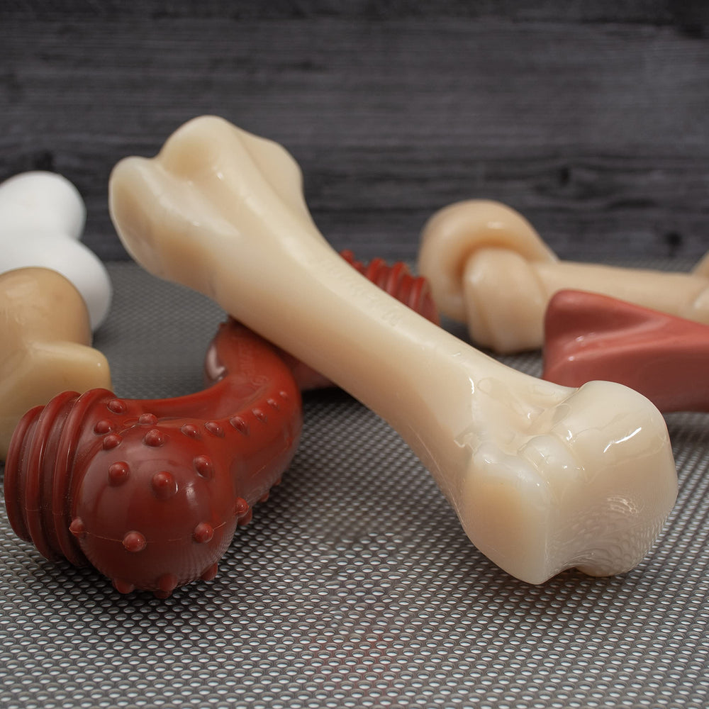 Nylabone Mega Knot Bone in use by a dog to redirect destructive chewing.