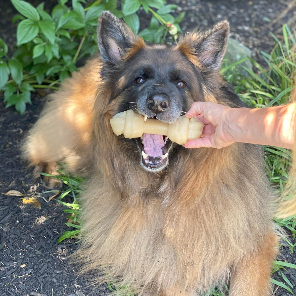 Nylabone Mega Knot Bone side profile highlights knot design for varied chewing angles.