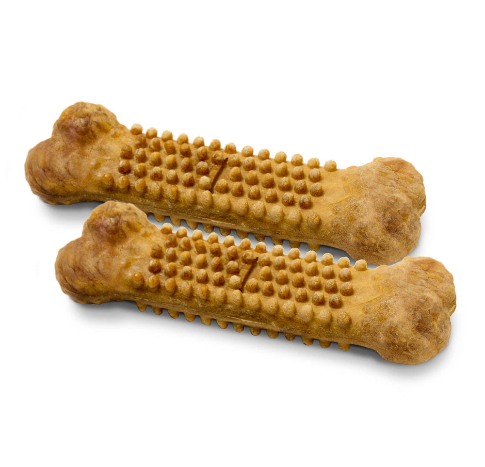 Nylabone Nubz long-lasting chew time visual for extended engagement