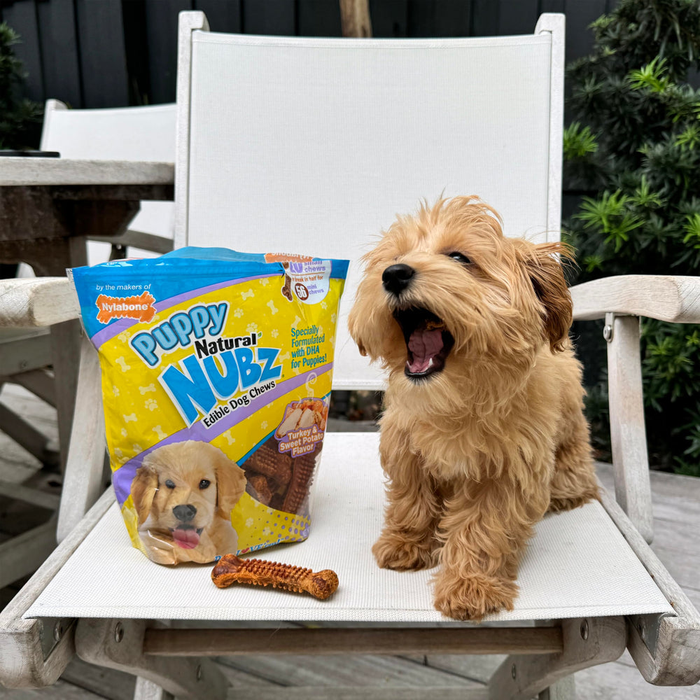 Nylabone Nubz made-in-USA label emphasizes trusted manufacturing