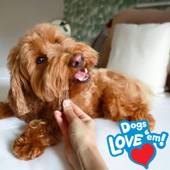 Nylabone Nubz small-dog up-to-30-lbs view emphasizes size-appropriate, safe chewing.