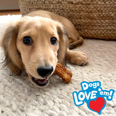 Nylabone Nubz puppy enjoying chew during playtime for positive distraction