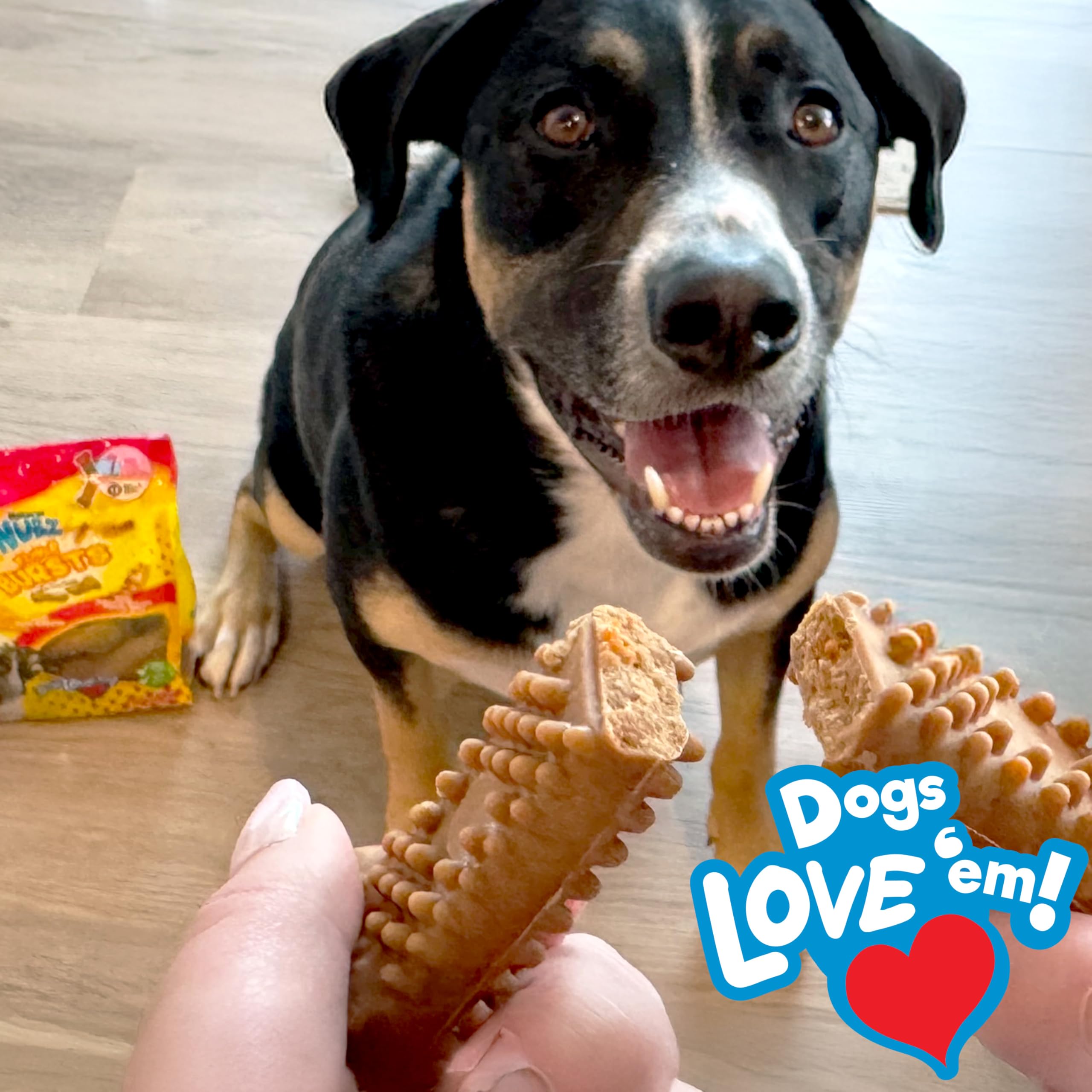 Nylabone Nubz real cheese flavor close-up highlights appetizing taste