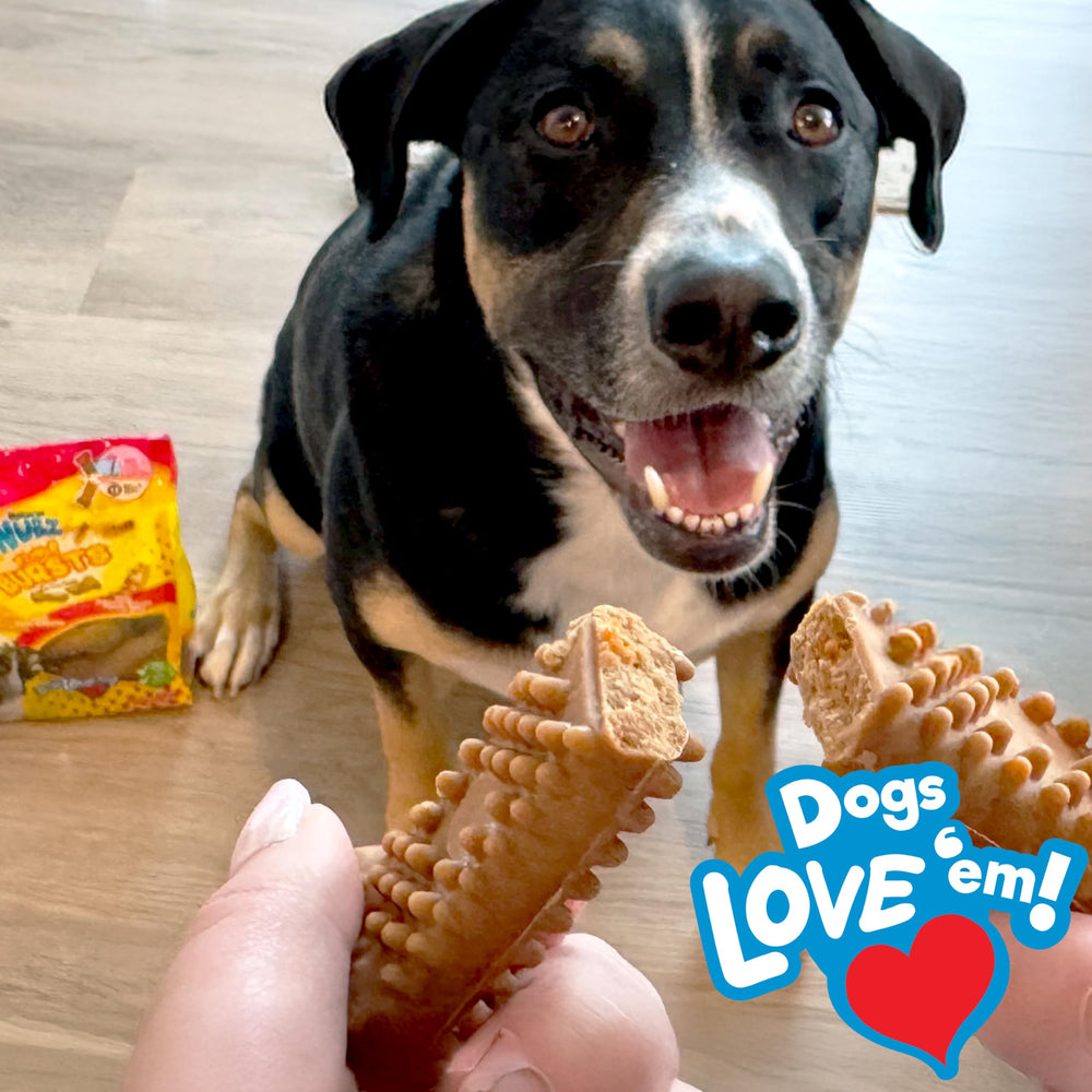 Nylabone Nubz real cheese flavor close-up highlights appetizing taste