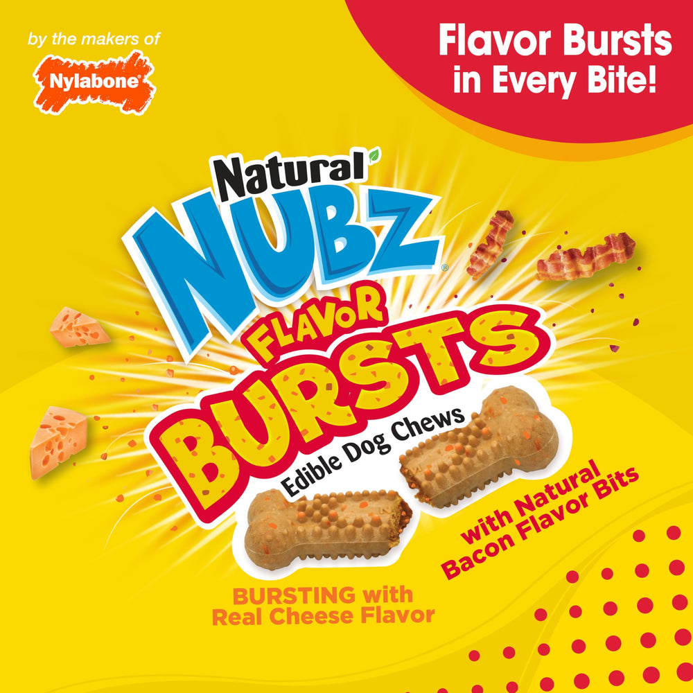 Nylabone Nubz 20-count package shown on shelf for easy stocking