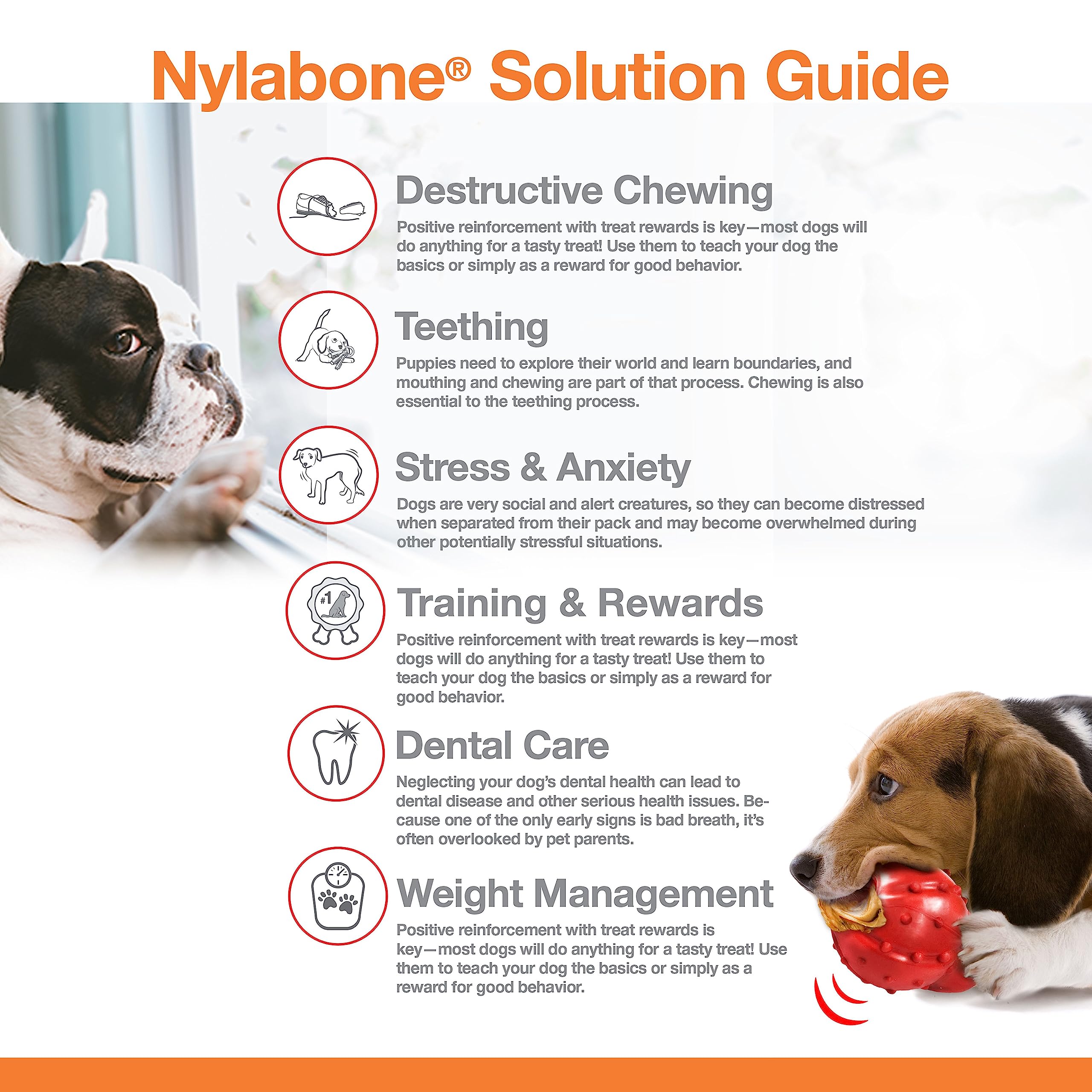 Nylabone Original Bone closeup texture nylon shows rugged surface built for durability.