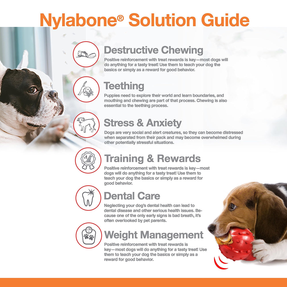 Nylabone Original Bone closeup texture nylon shows rugged surface built for durability.