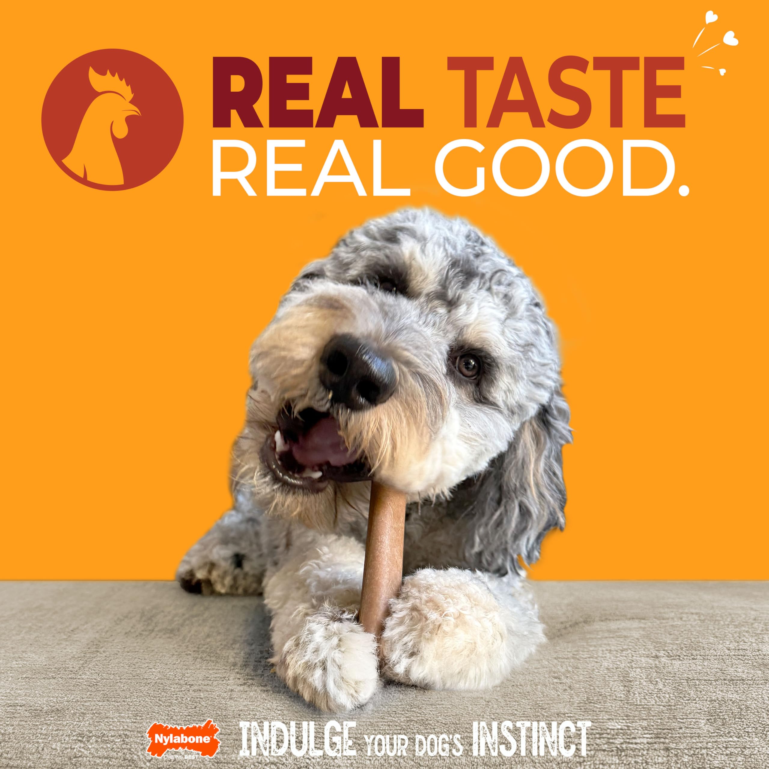 Nylabone Original Bone durable material close-up emphasizes tough chewer resilience