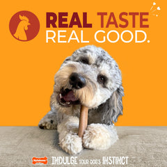 Nylabone Original Bone durable material close-up emphasizes tough chewer resilience