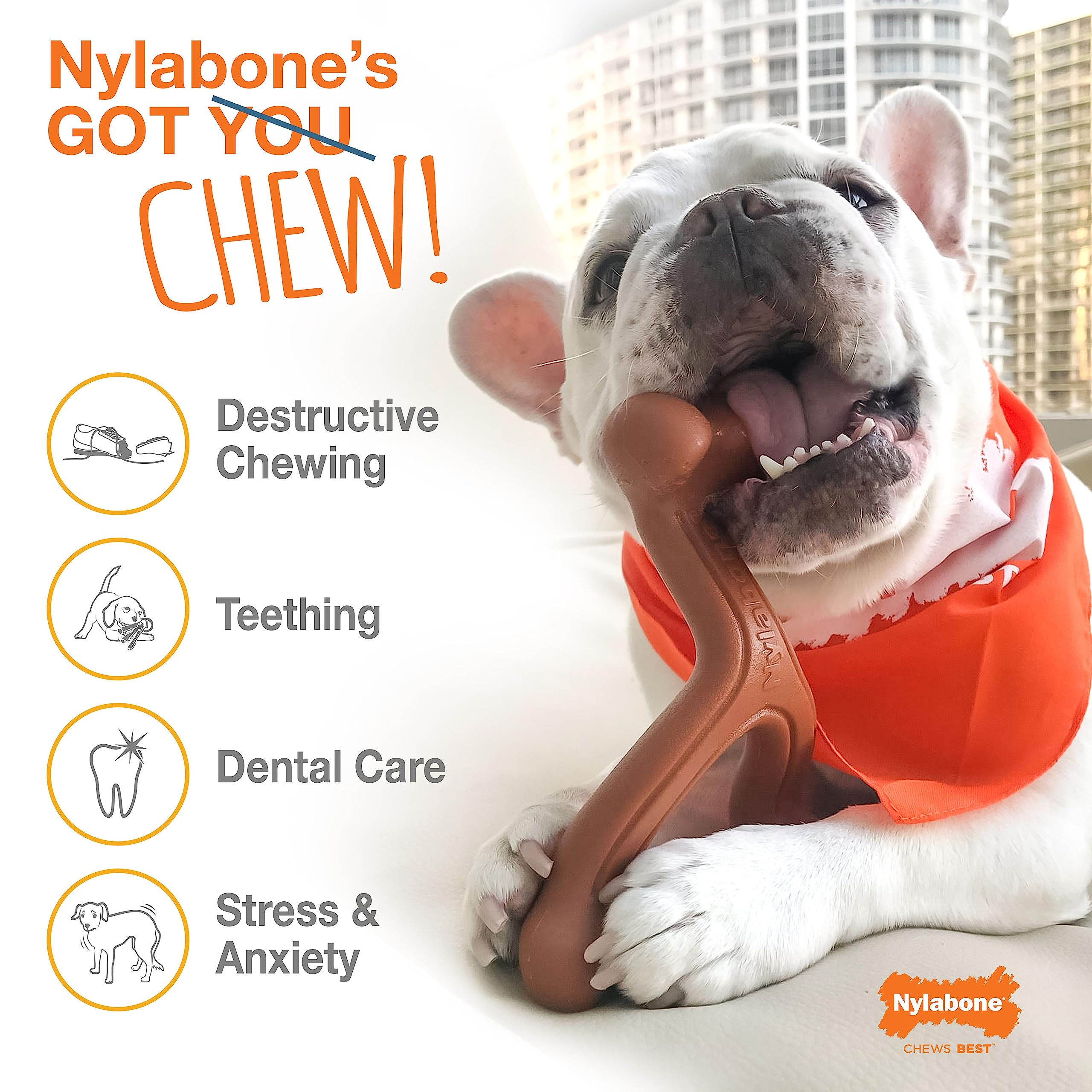 Nylabone Original Bone flavor shish kabob close-up highlights continuous flavor for longer chews.
