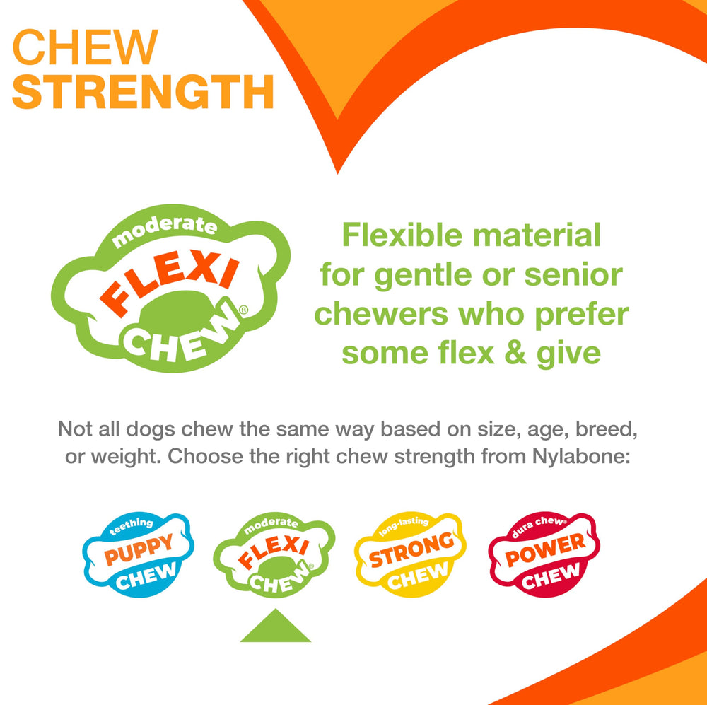 Nylabone Original Bone Flexi Toy moderate chewers in action for extended play.