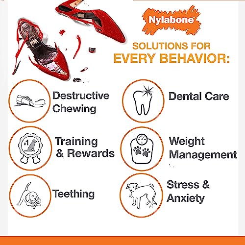 Nylabone Original Bone long-lasting-toy image suggests enduring entertainment for aggressive chewers.