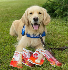 Nylabone Original Bone Power Chew tough-nylon-material close-up