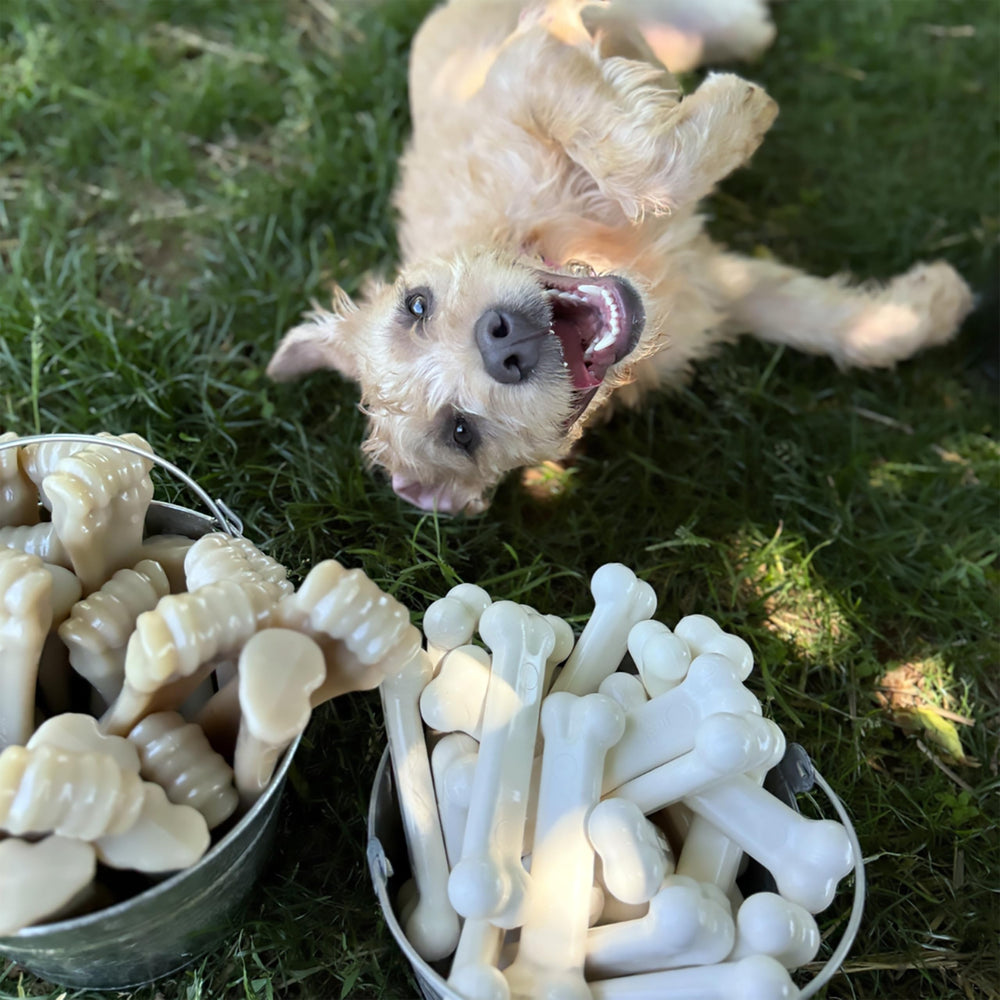 Nylabone Original Bone Power Chew Toy textured nylon surface for engaging chewers.