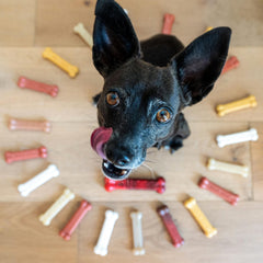 Nylabone Original Bone Power Chew Toy textured surface for added chewing satisfaction.