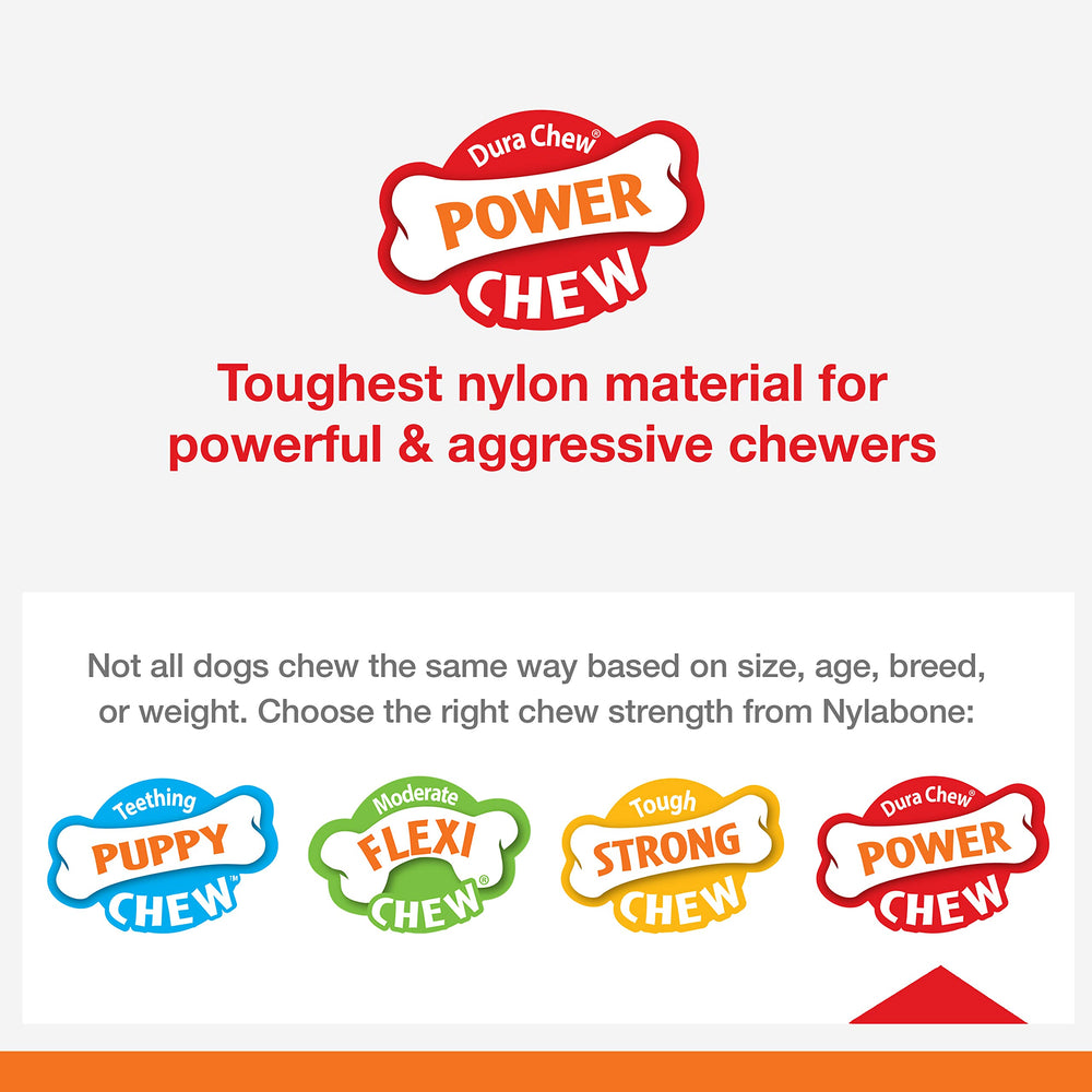 Nylabone Power Chase N Chew Toy durable material withstands aggressive chewers.