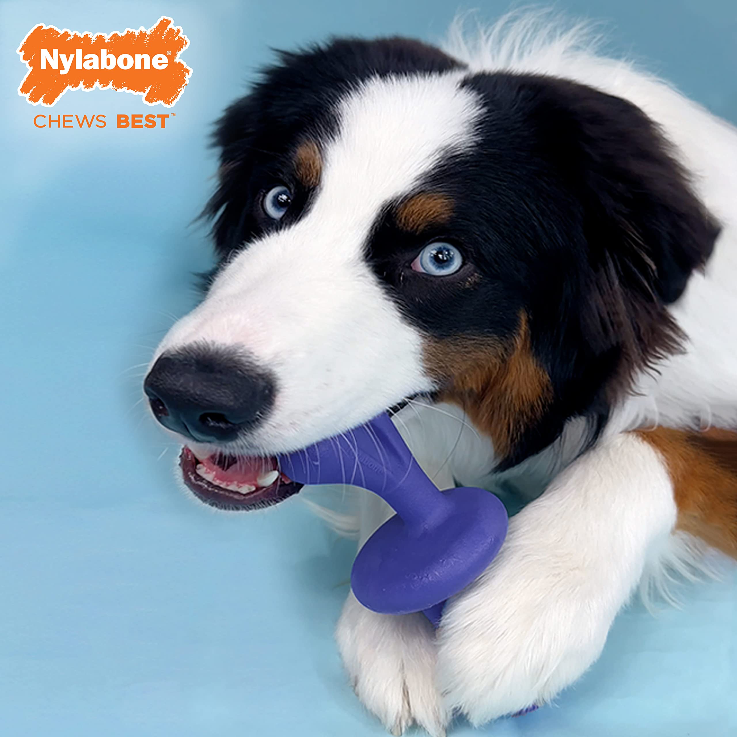 Nylabone Power Chase N Chew Toy easy-grip ends enable comfy chewing.