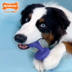Nylabone Power Chase N Chew Toy easy-grip ends enable comfy chewing.