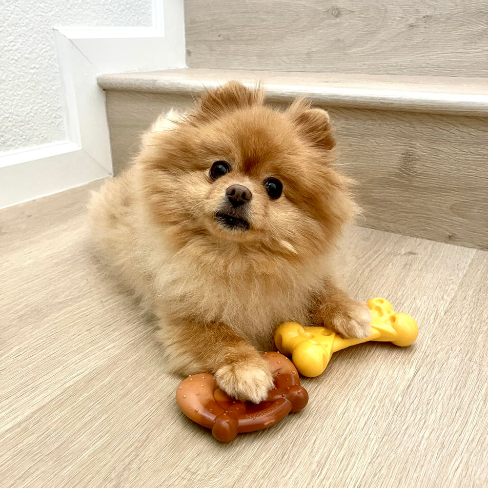 Nylabone Power Chew Bundle pretzel toy with easy hold design helps small dogs.