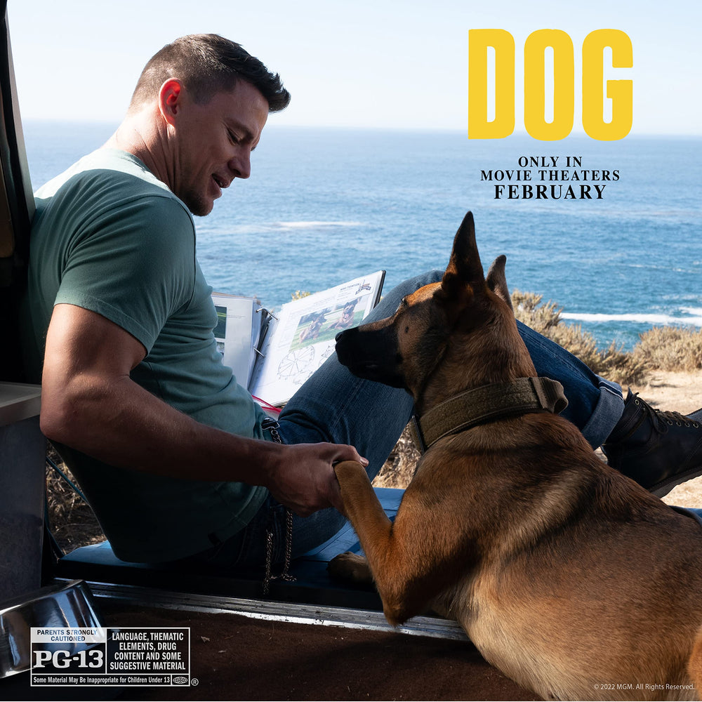 Nylabone Power Chew Camo dog toy chicken-flavor engages chewing senses