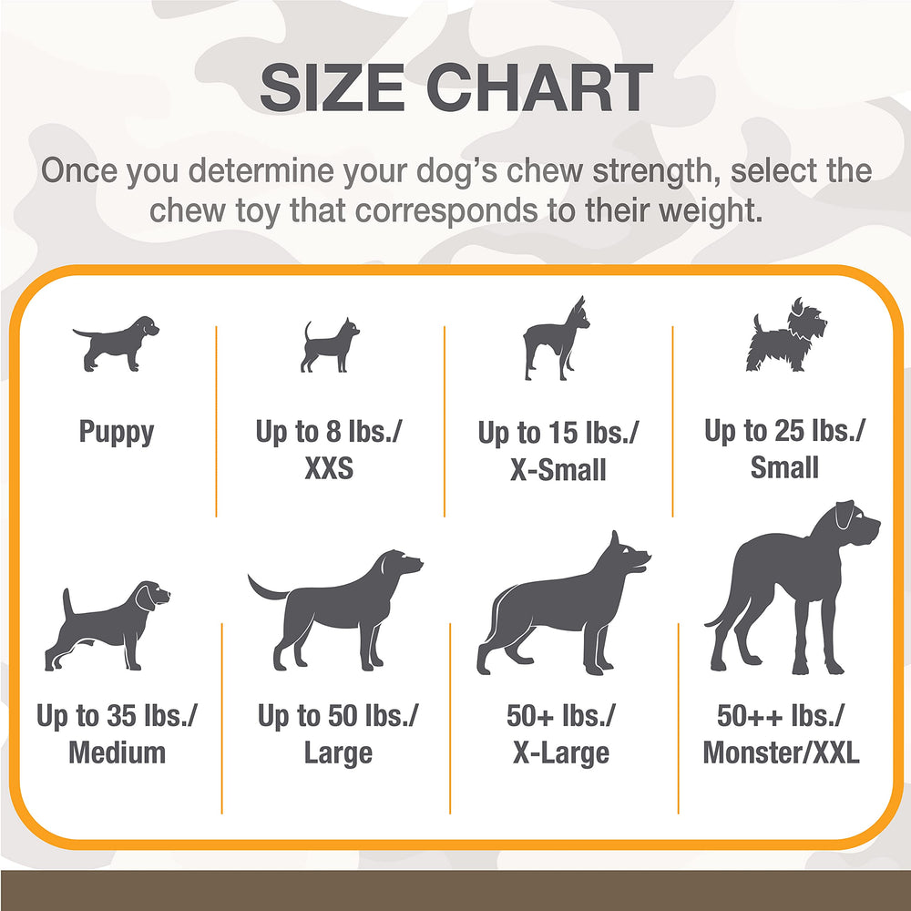 Nylabone Power Chew Camo dog toy movie-branding appeal for durable play