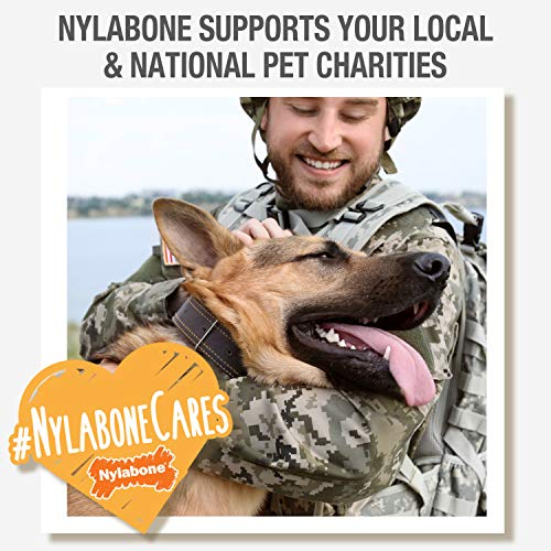 Nylabone Power Chew Classic Bone durable nylon construction resists aggressive chewers