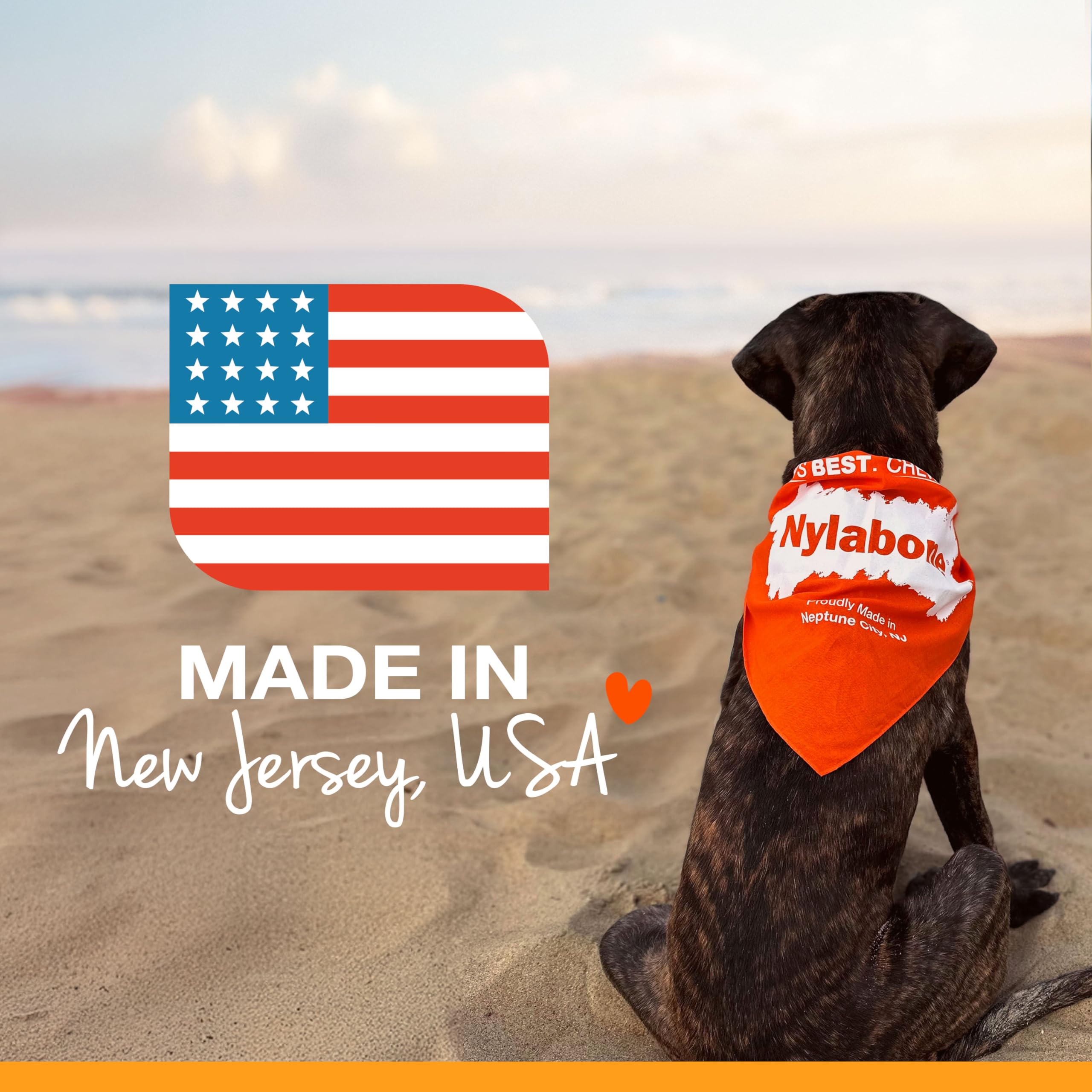 Nylabone Power Chew classic bone playtime—engaging toy for daily chew sessions.
