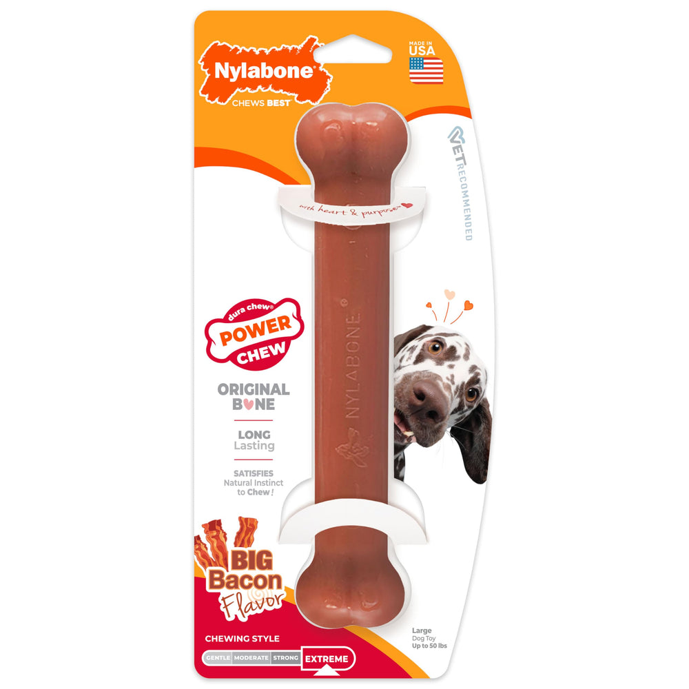 Nylabone Power Chew bacon-flavored infusion visible during chew
