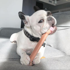 Nylabone Power Chew nylon tough material close-up for durability