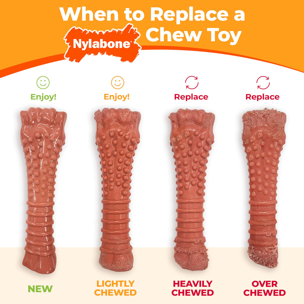Nylabone Power Chew dental-friendly action—could support teeth cleaning during chew sessions.