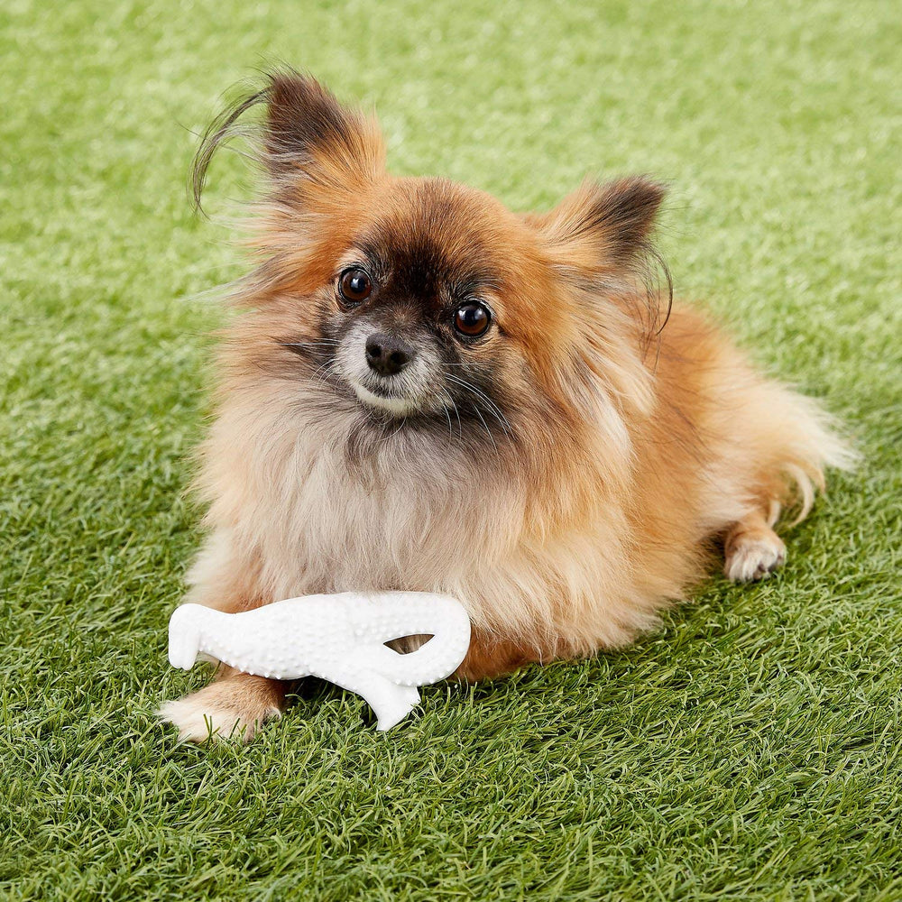 Nylabone Power Chew Dental Dino gum-massage action supports gentle gum stimulation