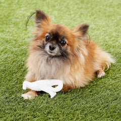 Nylabone Power Chew Dental Dino gum-massage action supports gentle gum stimulation