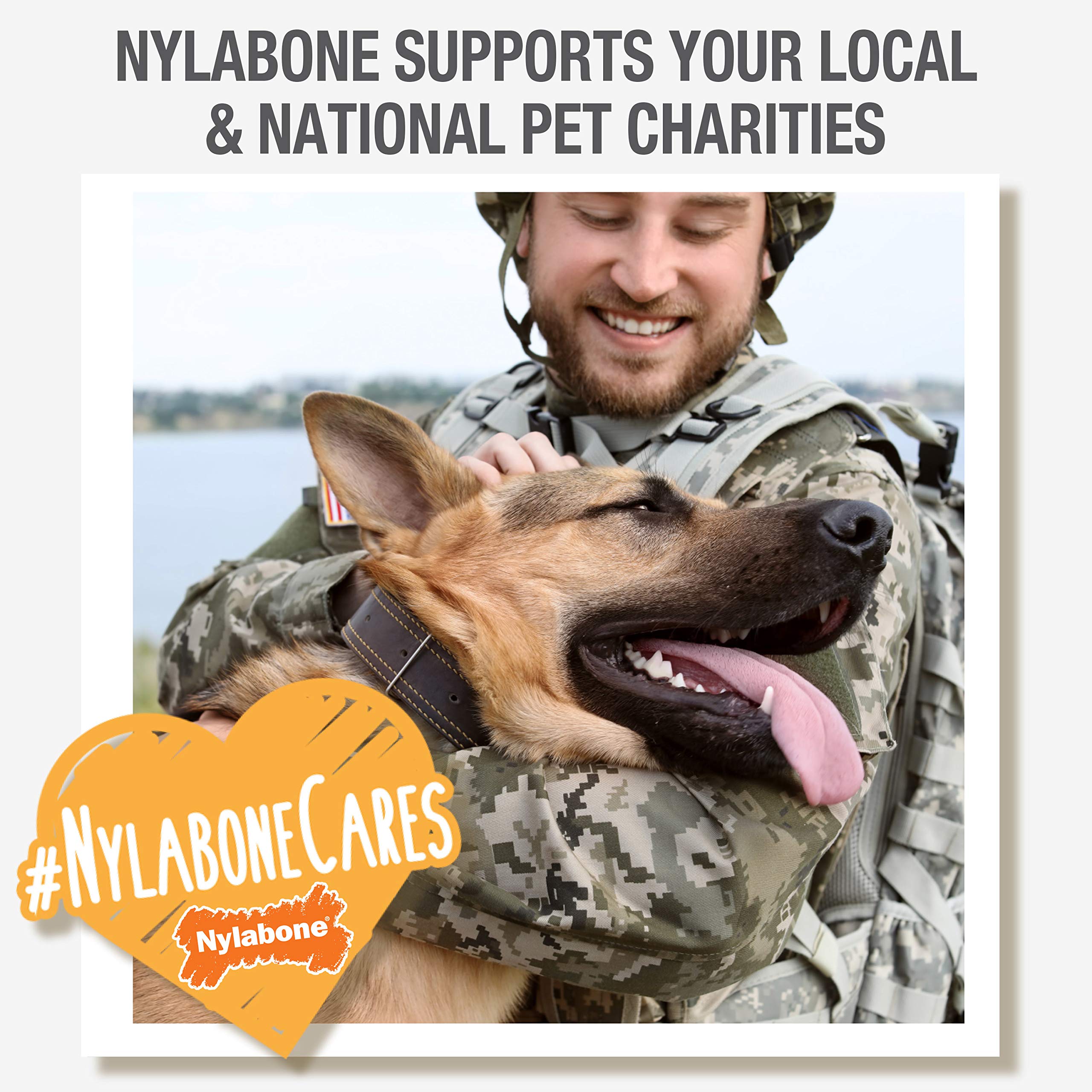 Nylabone Power Chew dental ridges close-up, helps clean teeth during chewing.
