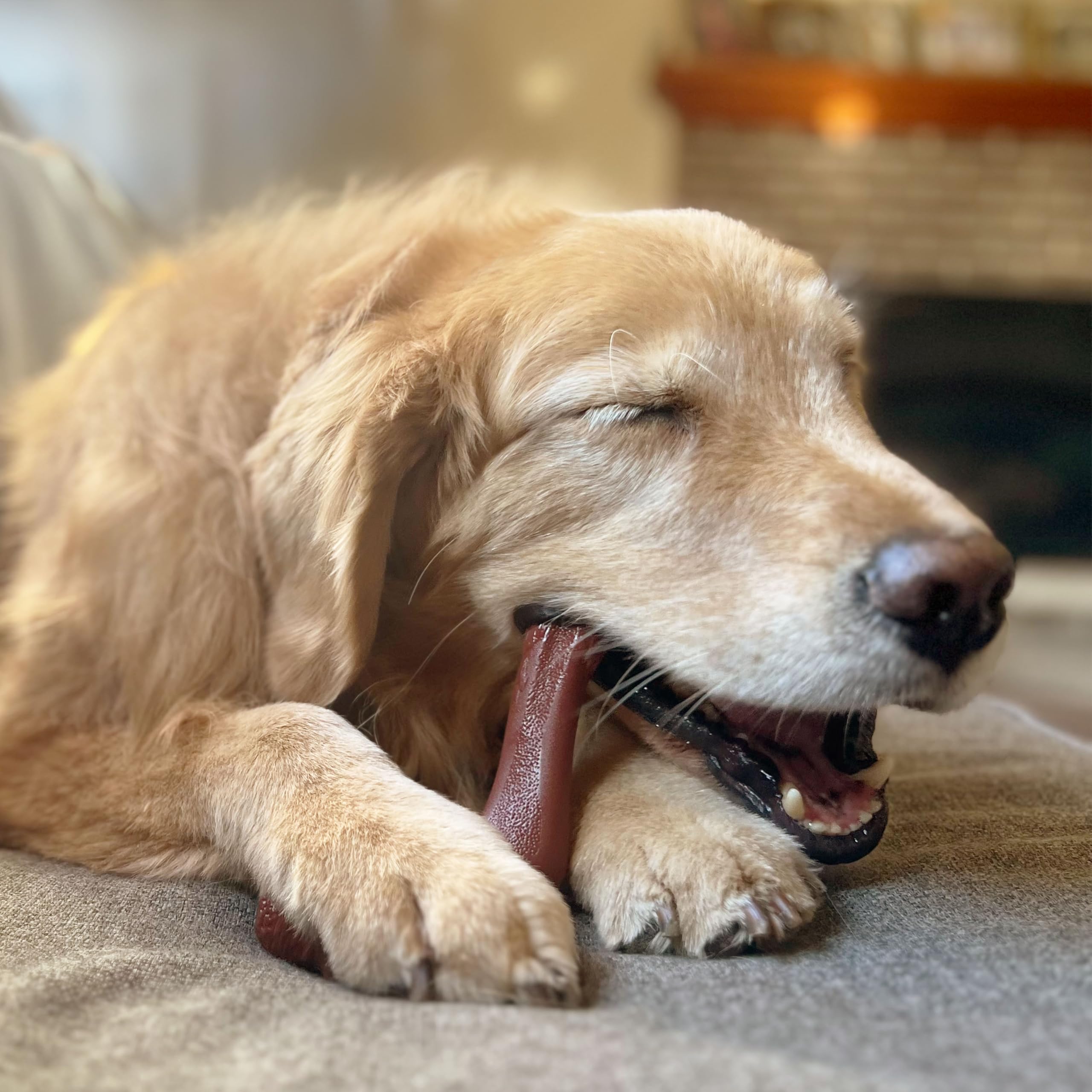Nylabone Power Chew durable chewer for aggressive chewers encourages healthy chewing habits.