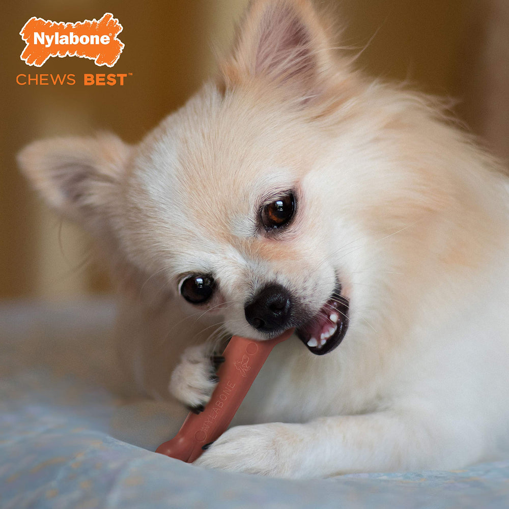 Nylabone Power Chew nylon tough material close-up—built for extreme chewers and durability.