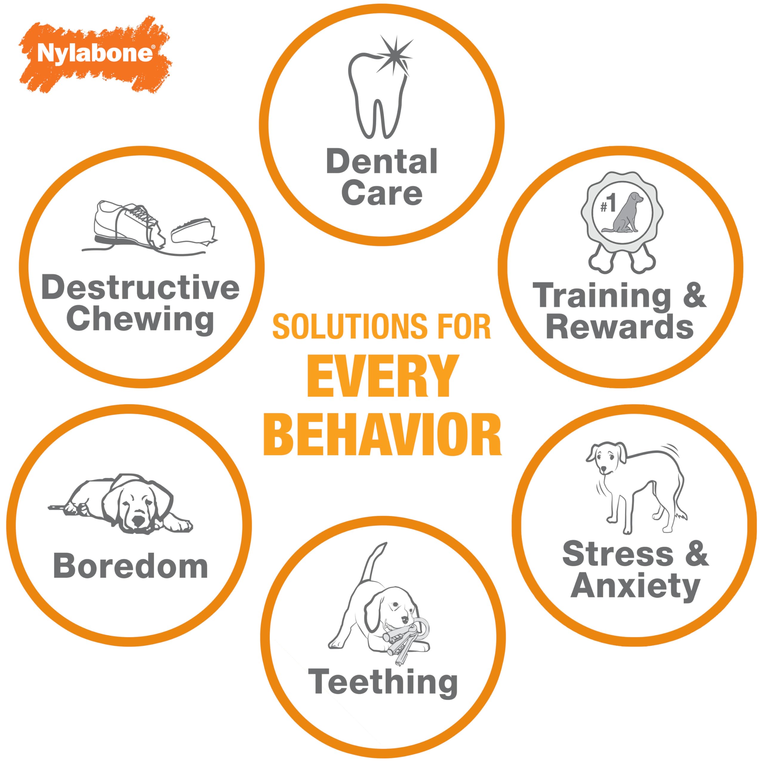 Nylabone Power Chew safety features, splinter-free design for confident chewing.
