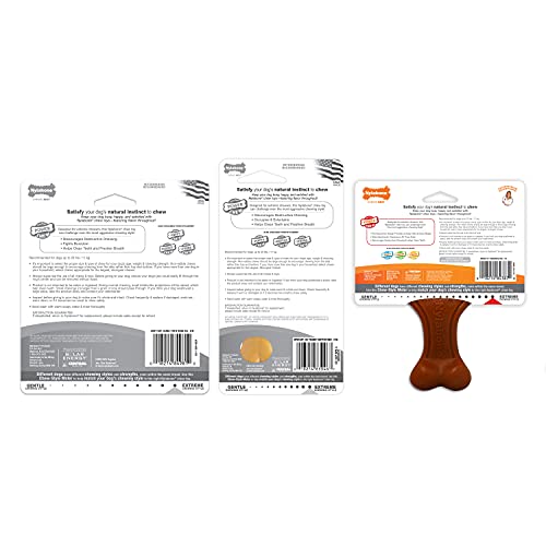 Nylabone Power Chew holiday gift idea image illustrates easy stocking stuffer option.