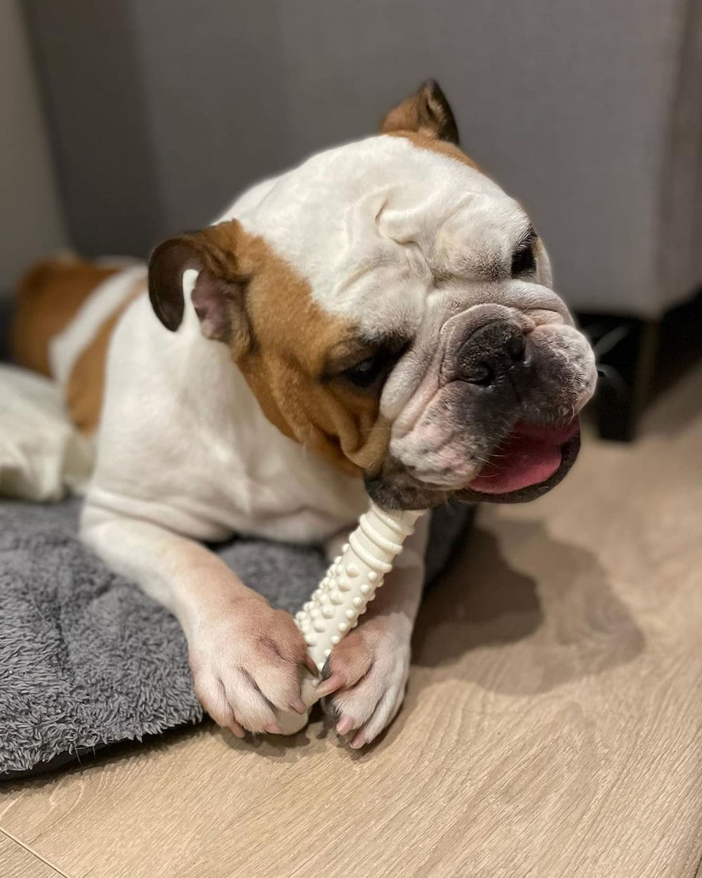 Nylabone Power Chew Textured Knuckle Bone, side view, ideal for heavy chewers.