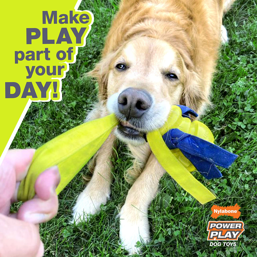 Nylabone Power Play Gripz, rebote impredecible para juego dinámico.