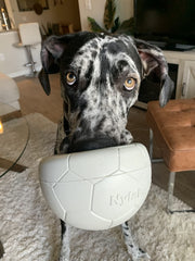 Nylabone Power Play Gripz Soccer Ball close-up shows textured surface for grip during fetch