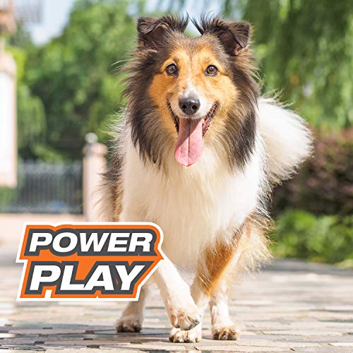 Nylabone Power Play Gripz Soccer Ball in a dog playset scenario