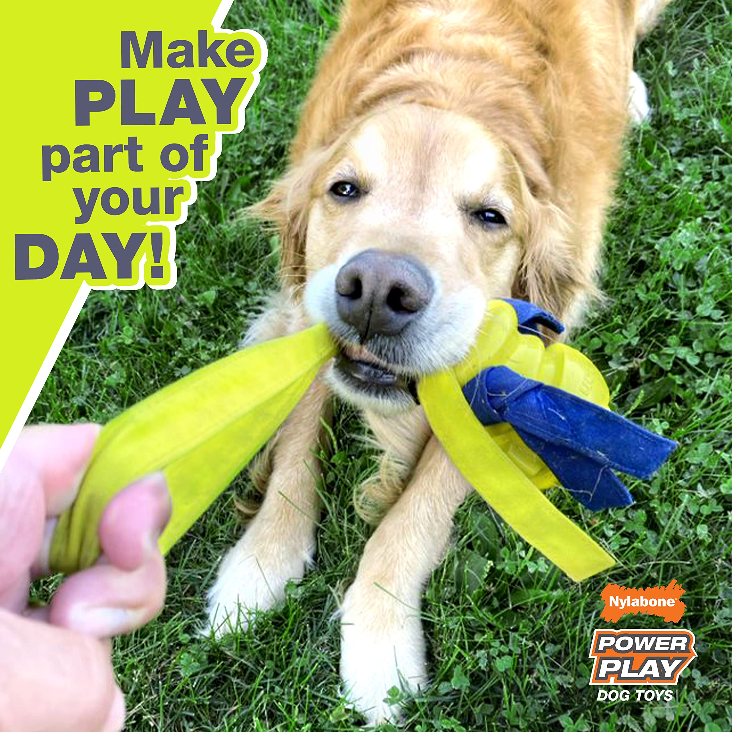 Nylabone Power Play Gripz Soccer Ball rolling shows erratic action when kicked outdoors