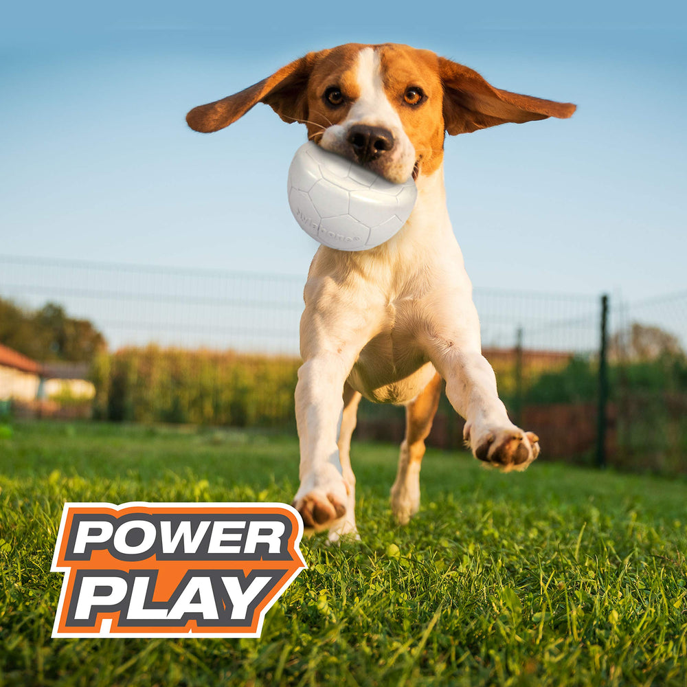 Nylabone Power Play Gripz Soccer Ball squeaky feature adds interactive sound